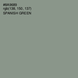 #8A9689 - Spanish Green Color Image